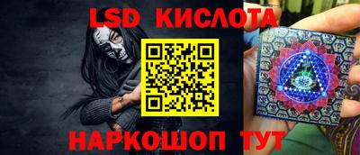 шишки Новозыбков