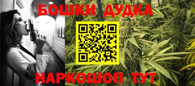 гашик Новодвинск