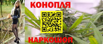 шишки Новозыбков