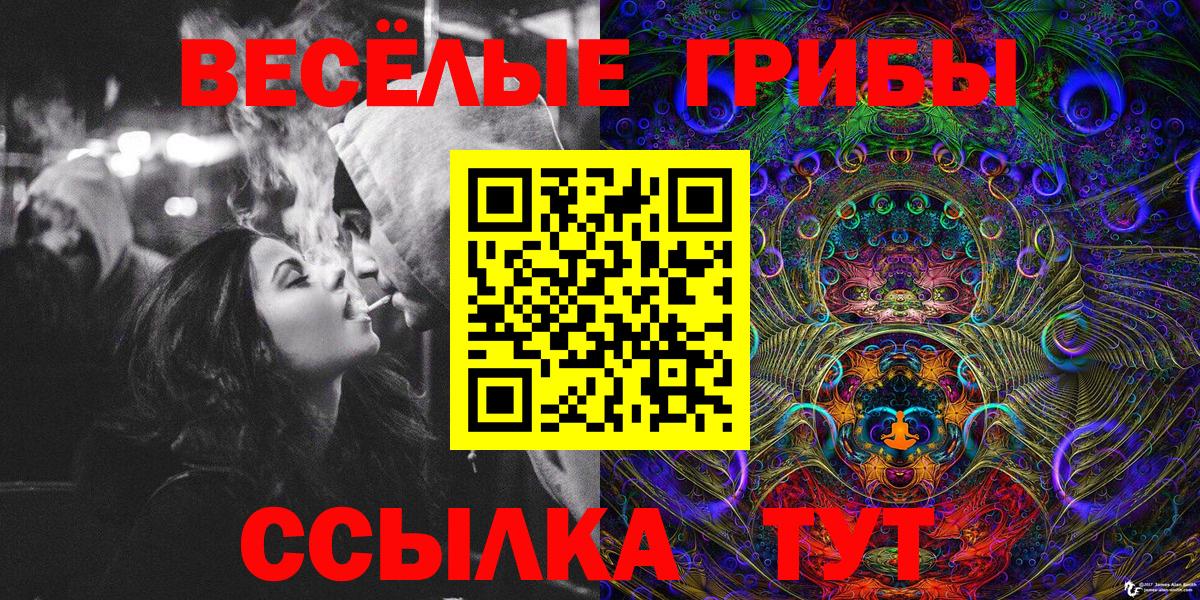 Псилоцибиновые грибы прущие грибы  Вход с VPN  где продают   Ульяновск 